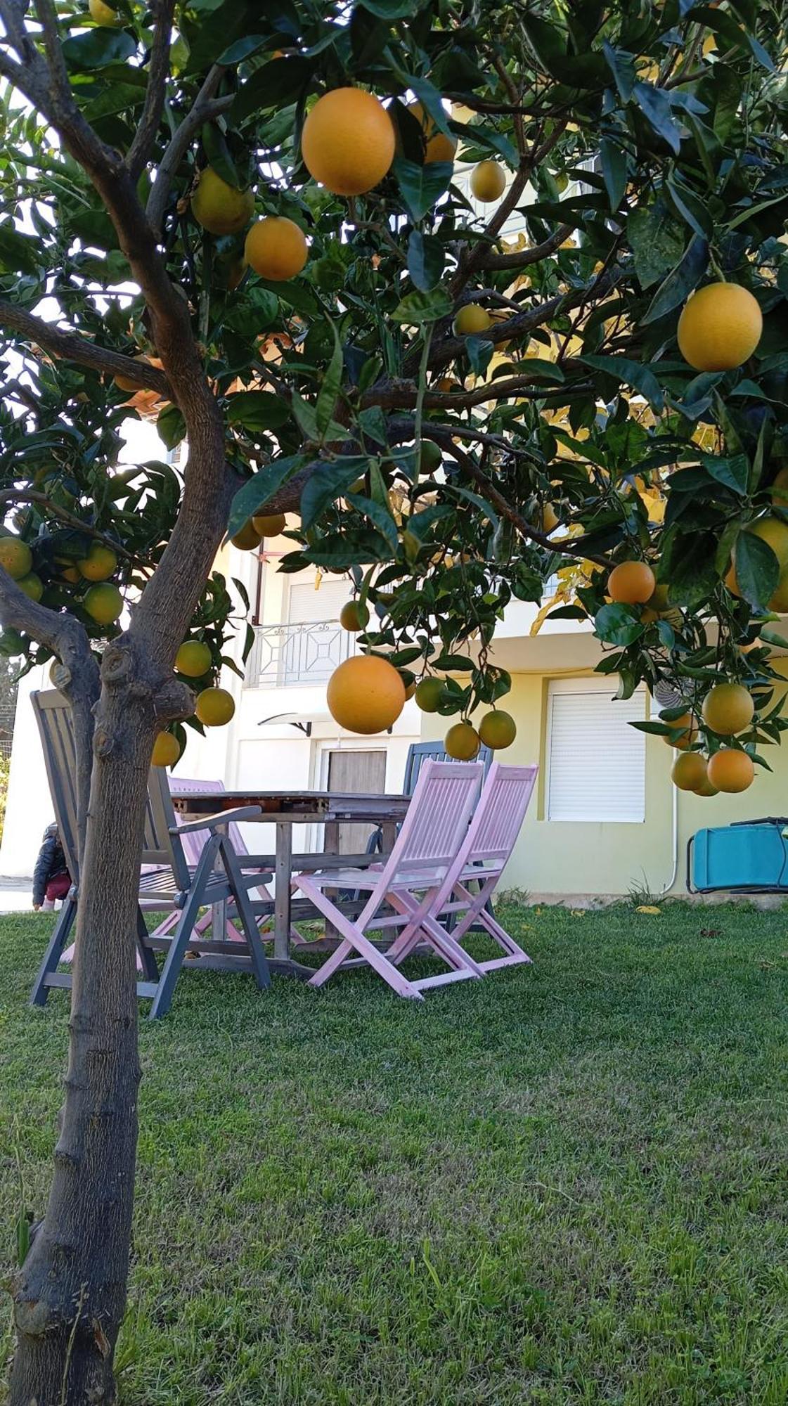 Katia 's Holiday home *